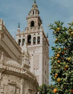 galeria_mitchell-orr-l18cvV6FuFg-unsplash